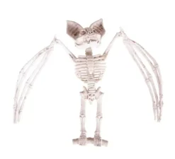Scheletro di pipistrello 27x11x7 cm