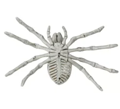 Scheletro di ragno 24 cm