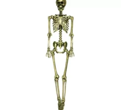Scheletro d'oro 90 cm