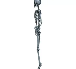 Scheletro in argento 160 cm