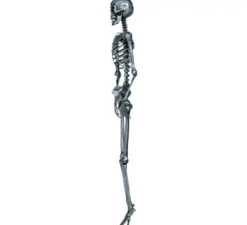 Scheletro in argento 90 cm