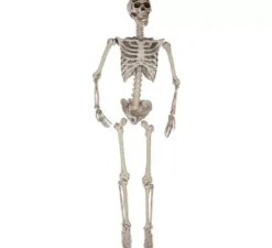 Scheletro sospeso di 165 cm