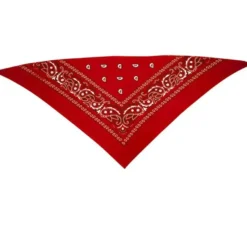 Sciarpa da cowboy rosso