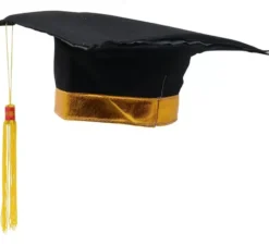 Sparviere per studenti adulti