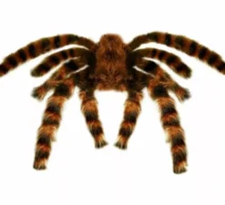 Tarantola pelosa gigante modellabile da 65 cm