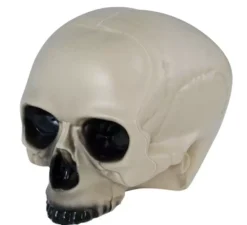 Teschio senza mento 20 cm