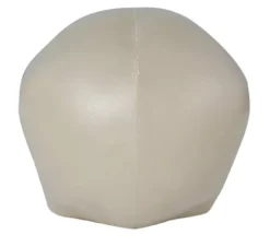 Teschio senza mento 20 cm
