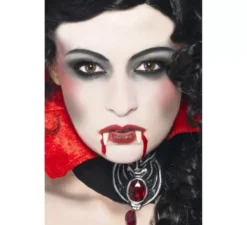 Trucco da vampiro: zanne, spugna, pittura e sangue