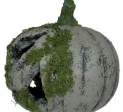 Zucca con muschio e luce 20 cm