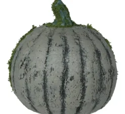 Zucca con muschio e luce 20 cm