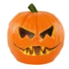 Zucca Malefica Arancione